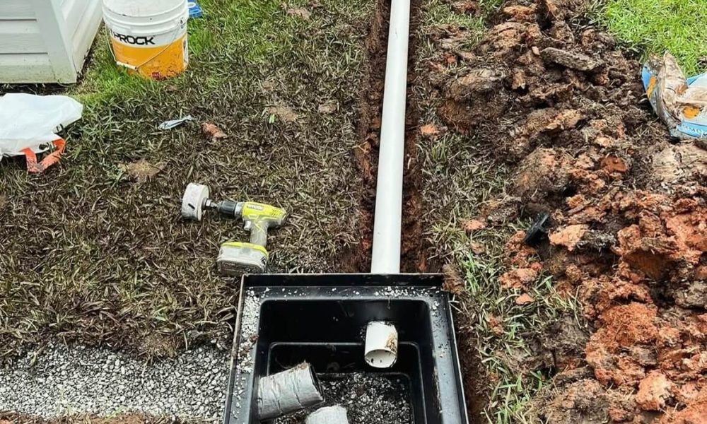 20250520_120320000_iOS